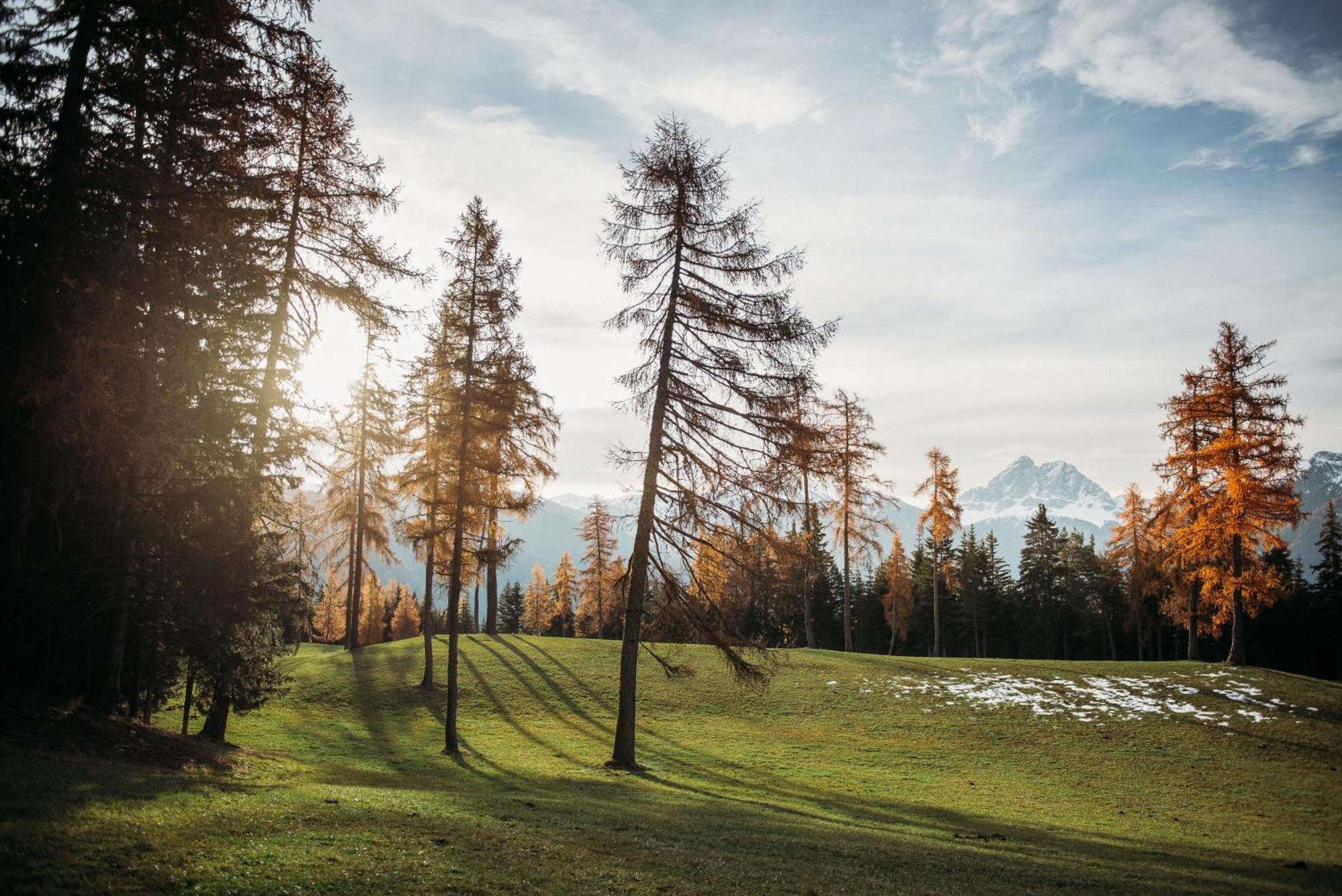 Oberhauser Huette Rodenecker - Luesner Alm Luson Esterno foto