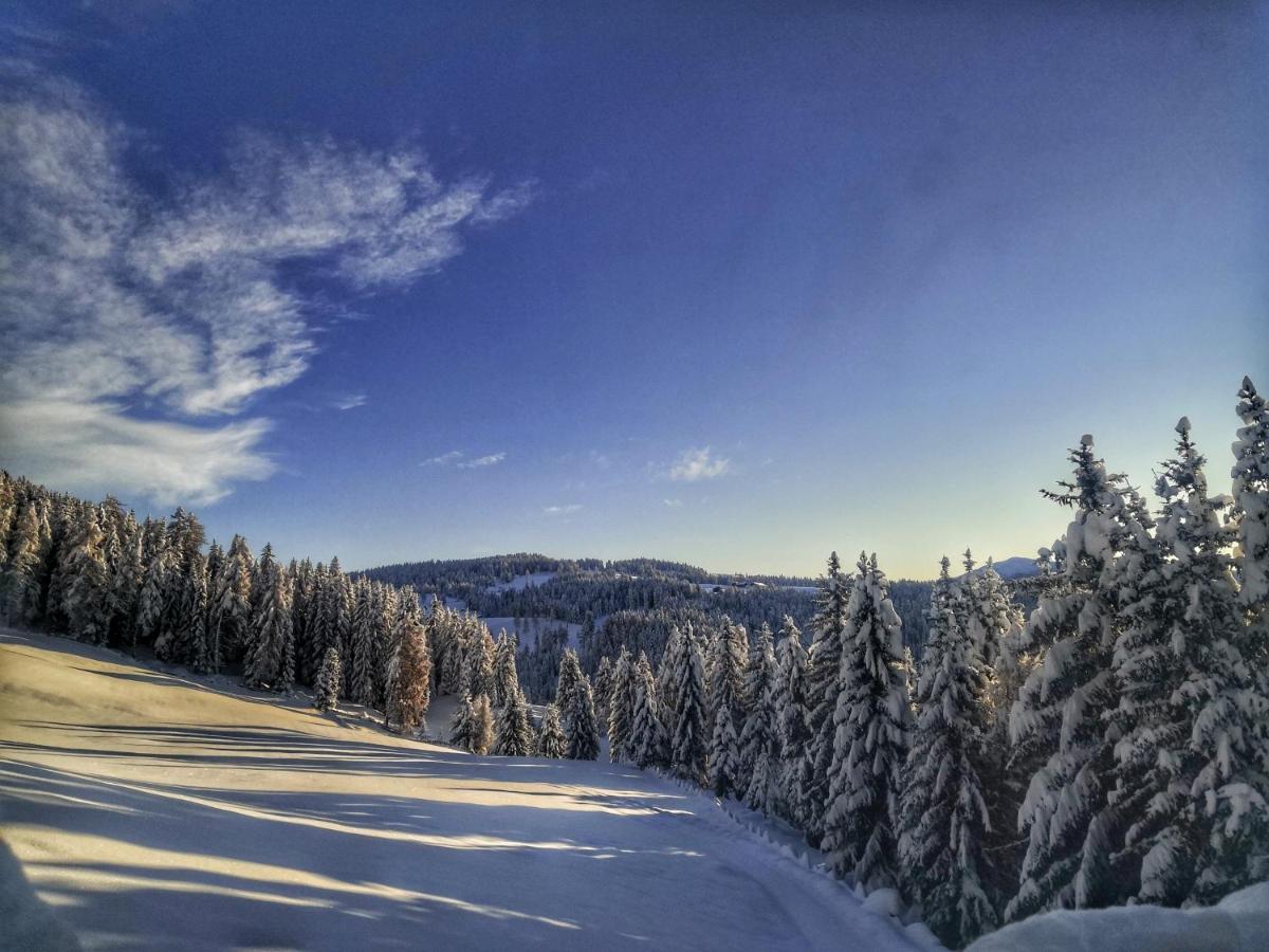 Oberhauser Huette Rodenecker - Luesner Alm Luson Esterno foto